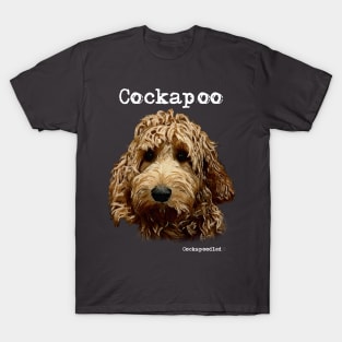 Red Cockapoo / Spoodle and Doodle Dog T-Shirt